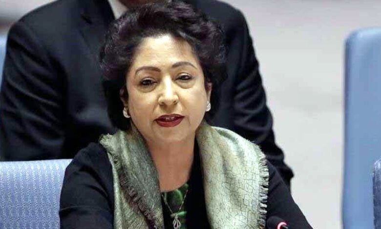maleeha lodhi maleeha lodhi