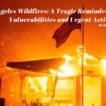 Los Angeles Wildfires