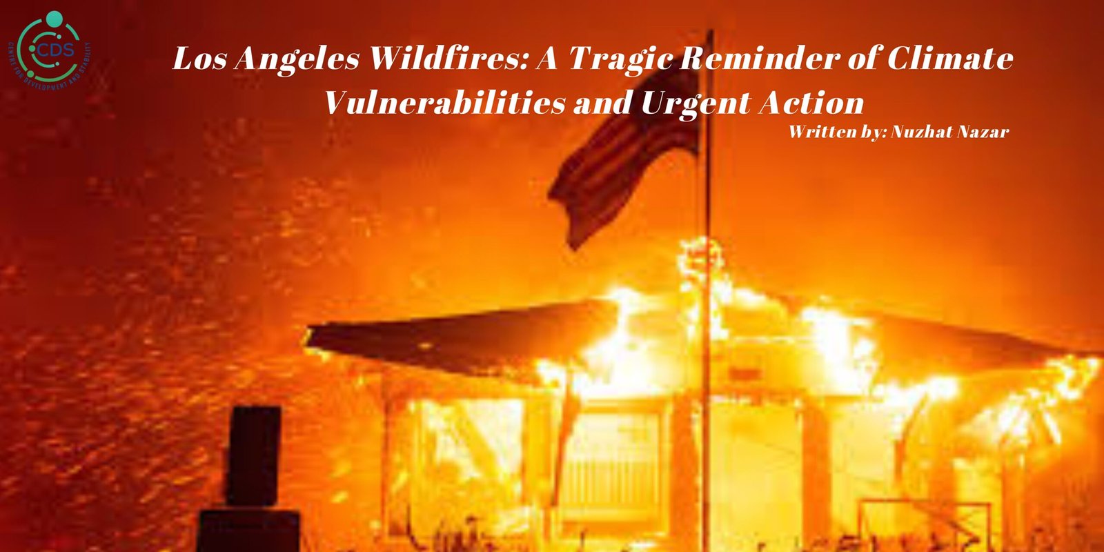 Los Angeles Wildfires