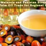 palm oil trade