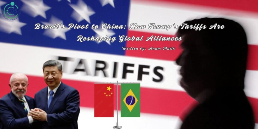 Trump's Tariffs on Brazil