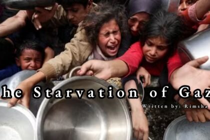 Gaza's Starvation