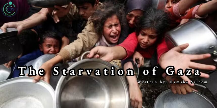 Gaza's Starvation