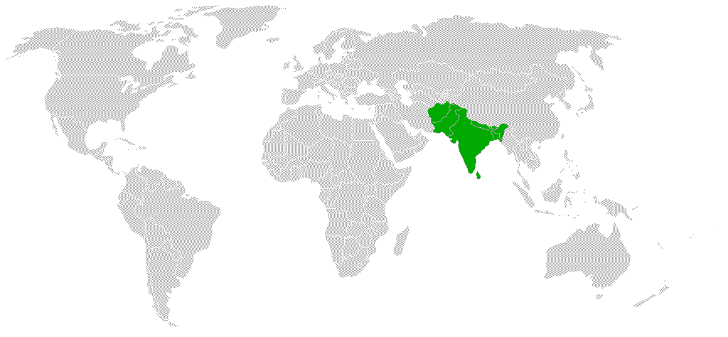 Implications for South Asian Politics