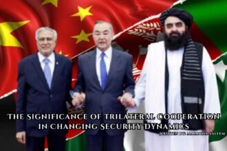 The Significance of Trilateral Cooperation in Changing Security Dynamics