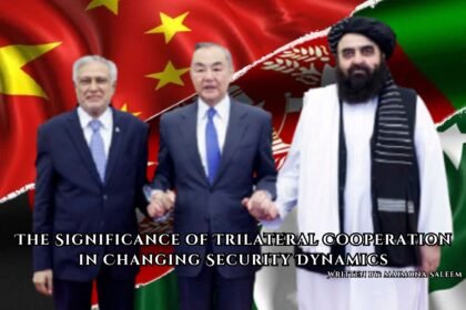 The Significance of Trilateral Cooperation in Changing Security Dynamics
