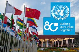 UN at 80: China and Global Youth Lead Call for Collective Action