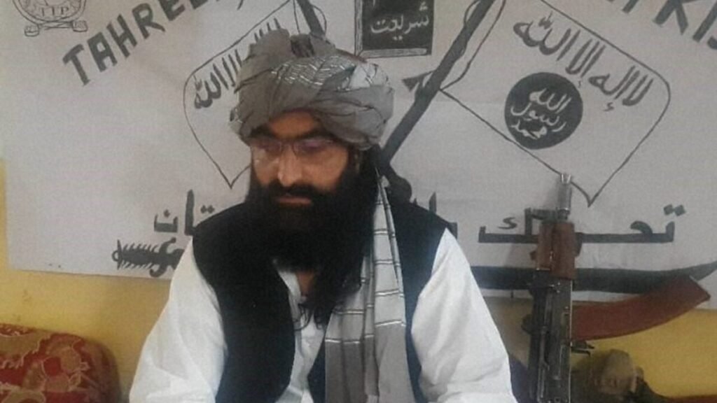 TTP Chief Noor Wali Mehsud