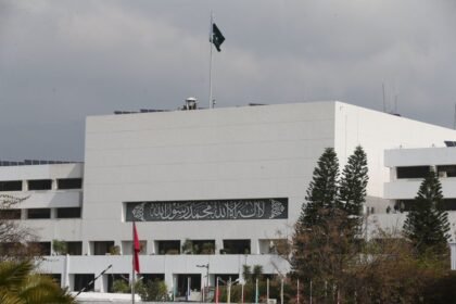 Deleterious Role of Detractors in Pakistan Parliament