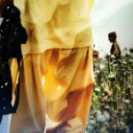 Narcotics, Terrorism and Political Protection