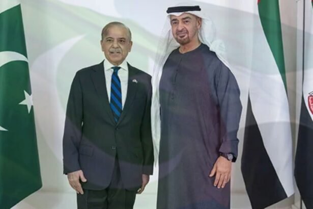 UAE President Al Nahyan to make first official visit to Pakistan on December 26